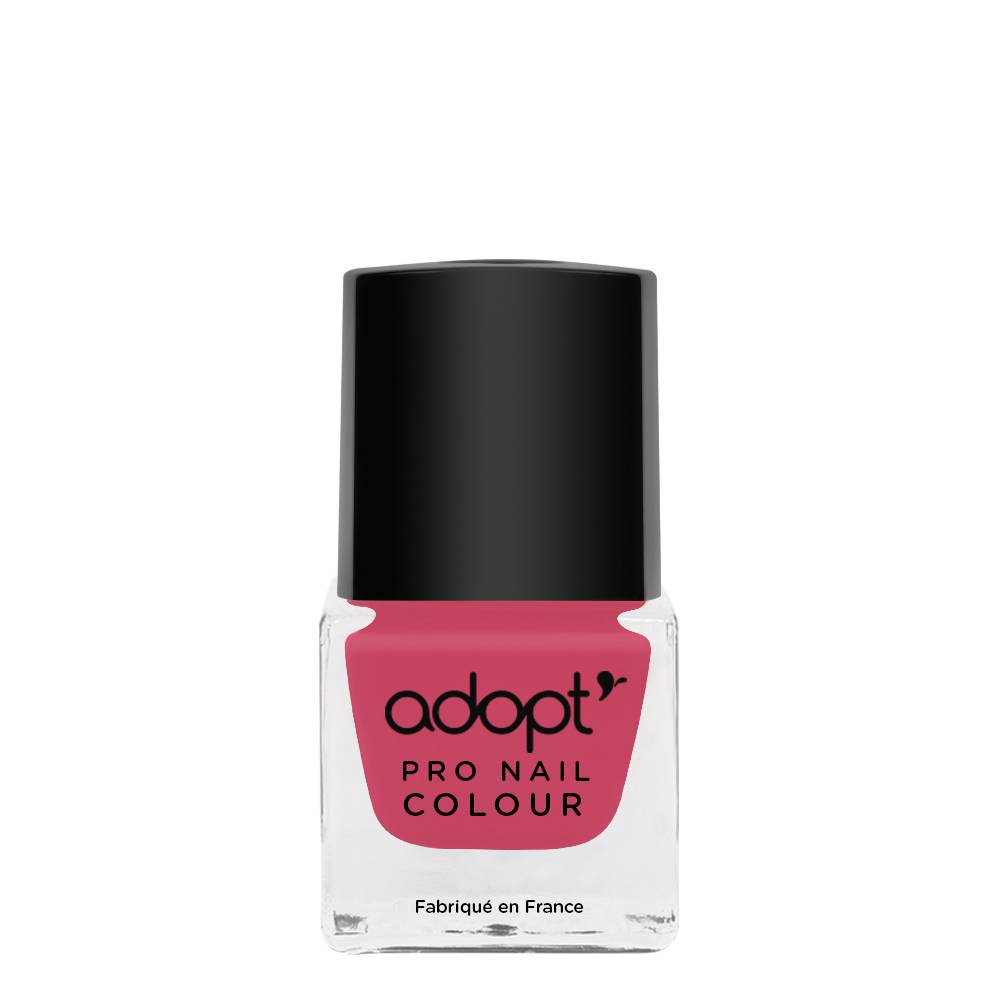 Vernis à ongles pro nail colour - n°33 lou adopt'
