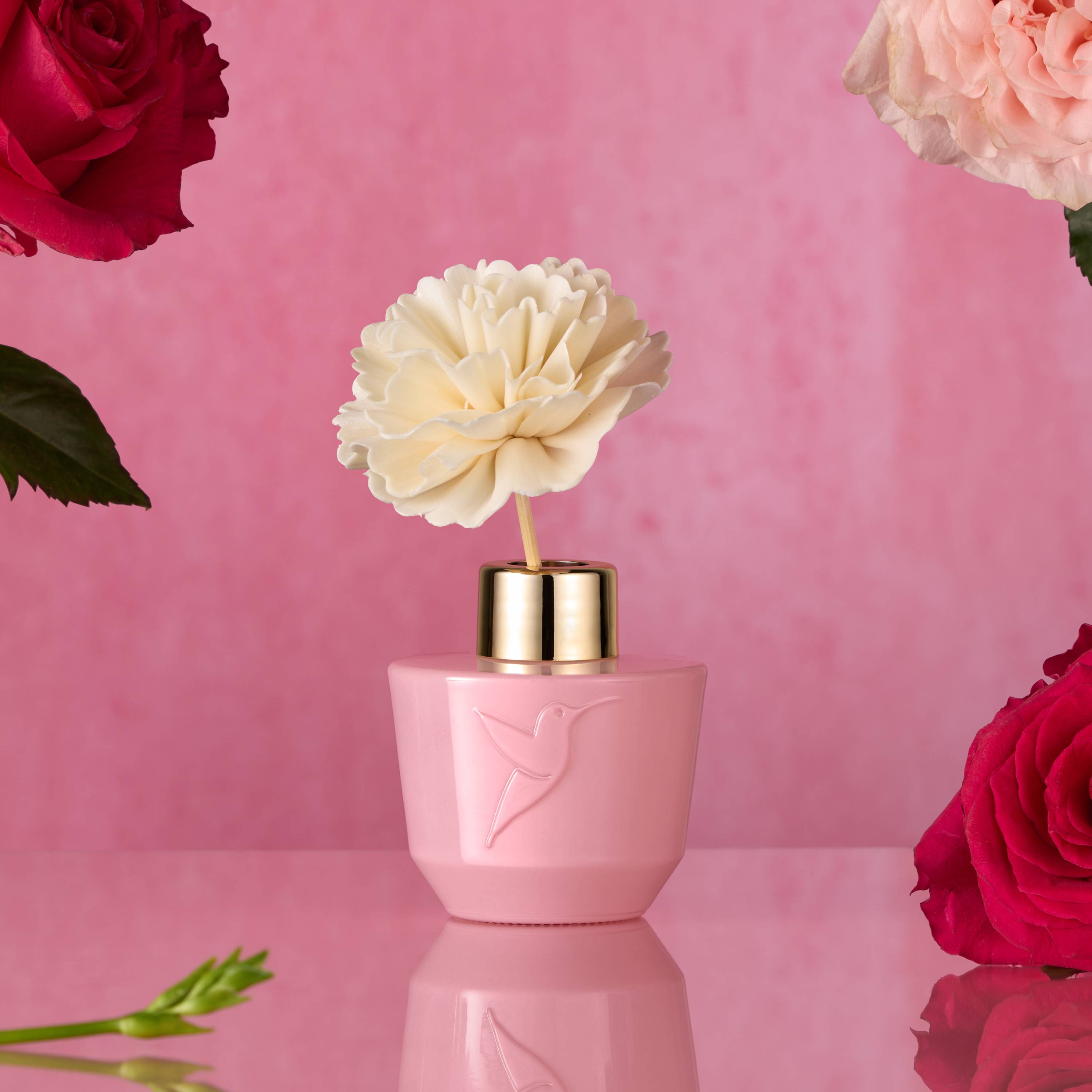Jardin des roses