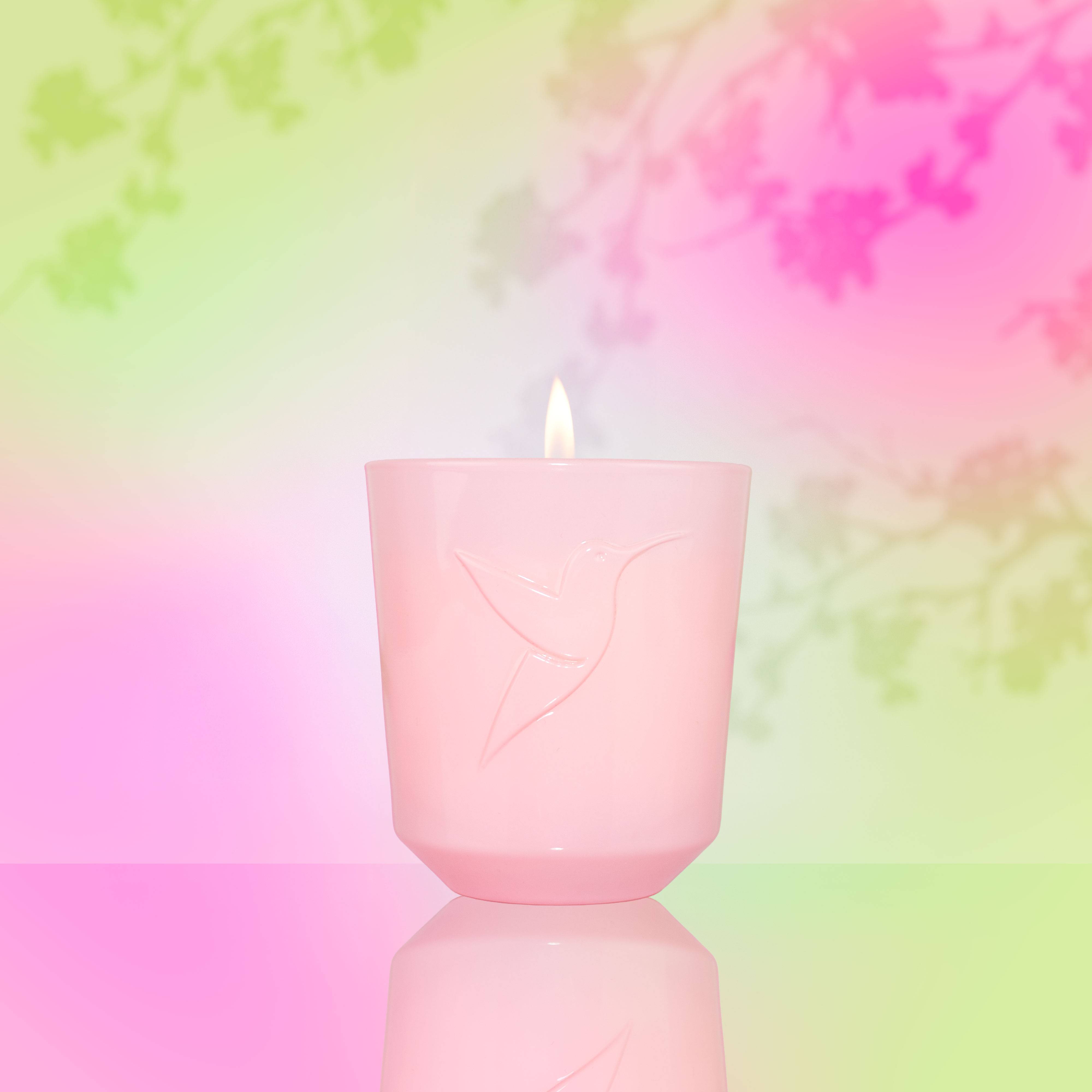 Sakura Blossom