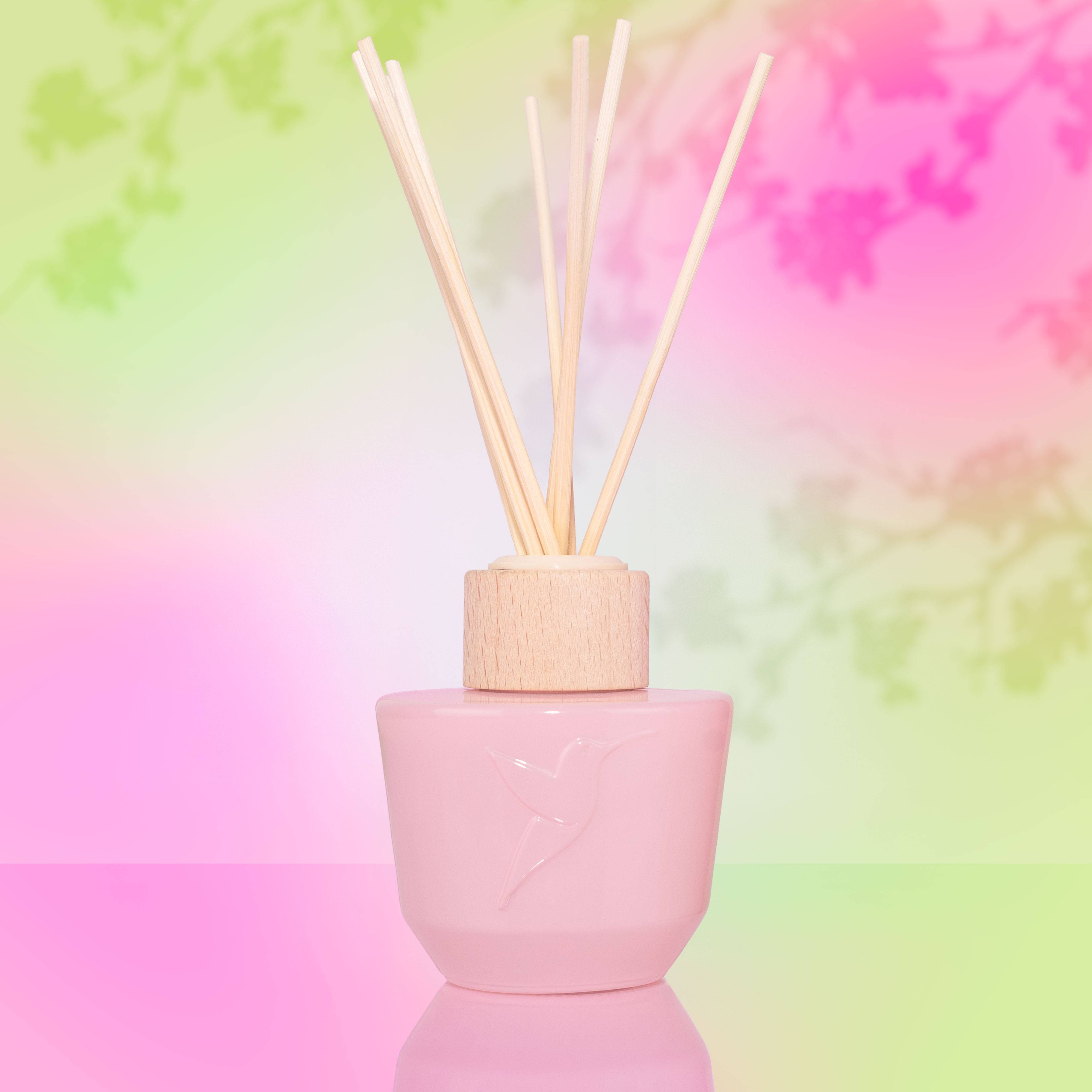 Sakura Blossom
