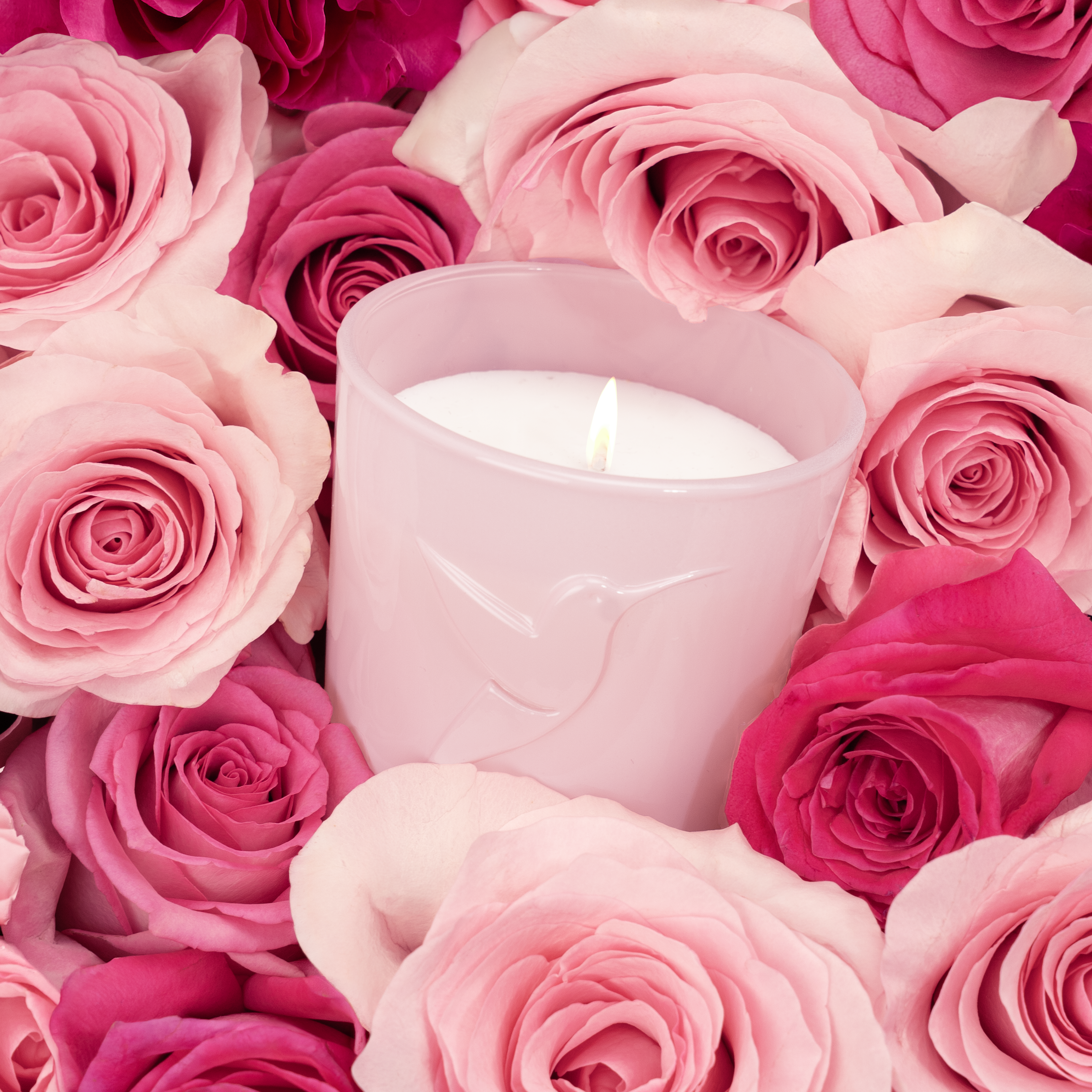 Jardin des roses Candle 180g