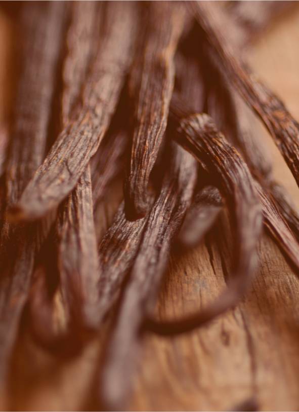 monoi dore eau de parfum