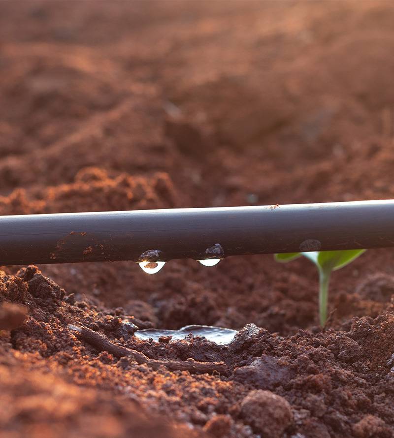 Système d'irrigation